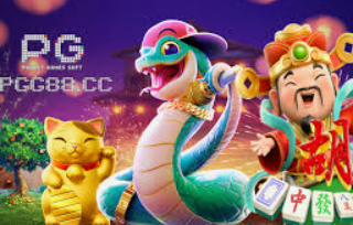 pg入口手机版